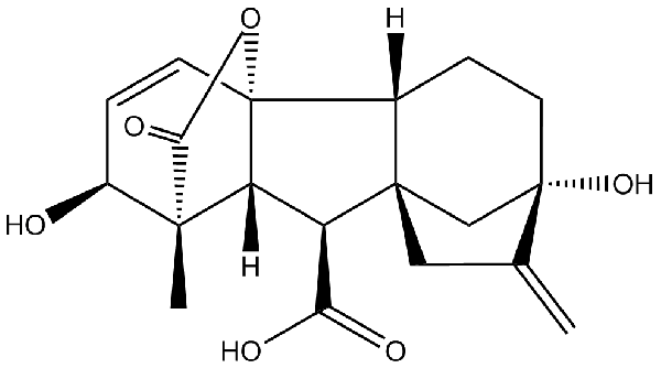 赤霉素GIBBERELLIC ACID，居然有這么神奇？